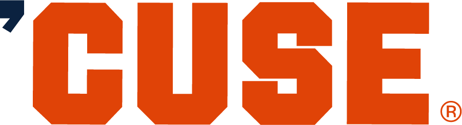 Syracuse Orange 2015-2017 Wordmark Logo DIY iron on transfer (heat transfer)